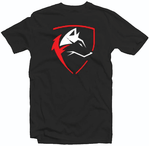 Alphalete Gym Loggo Tshirt Alphalete Gym Loggo Tshirt