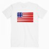 Baseball American Flag Tshirt