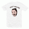 Post Malone Artwork Unisex Adult Tshirt