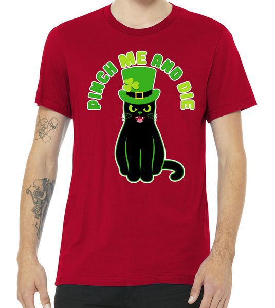 Pinch Me And Die St. Patrick's Day Cat Premium